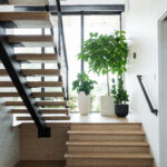 Mollo Rather Homes